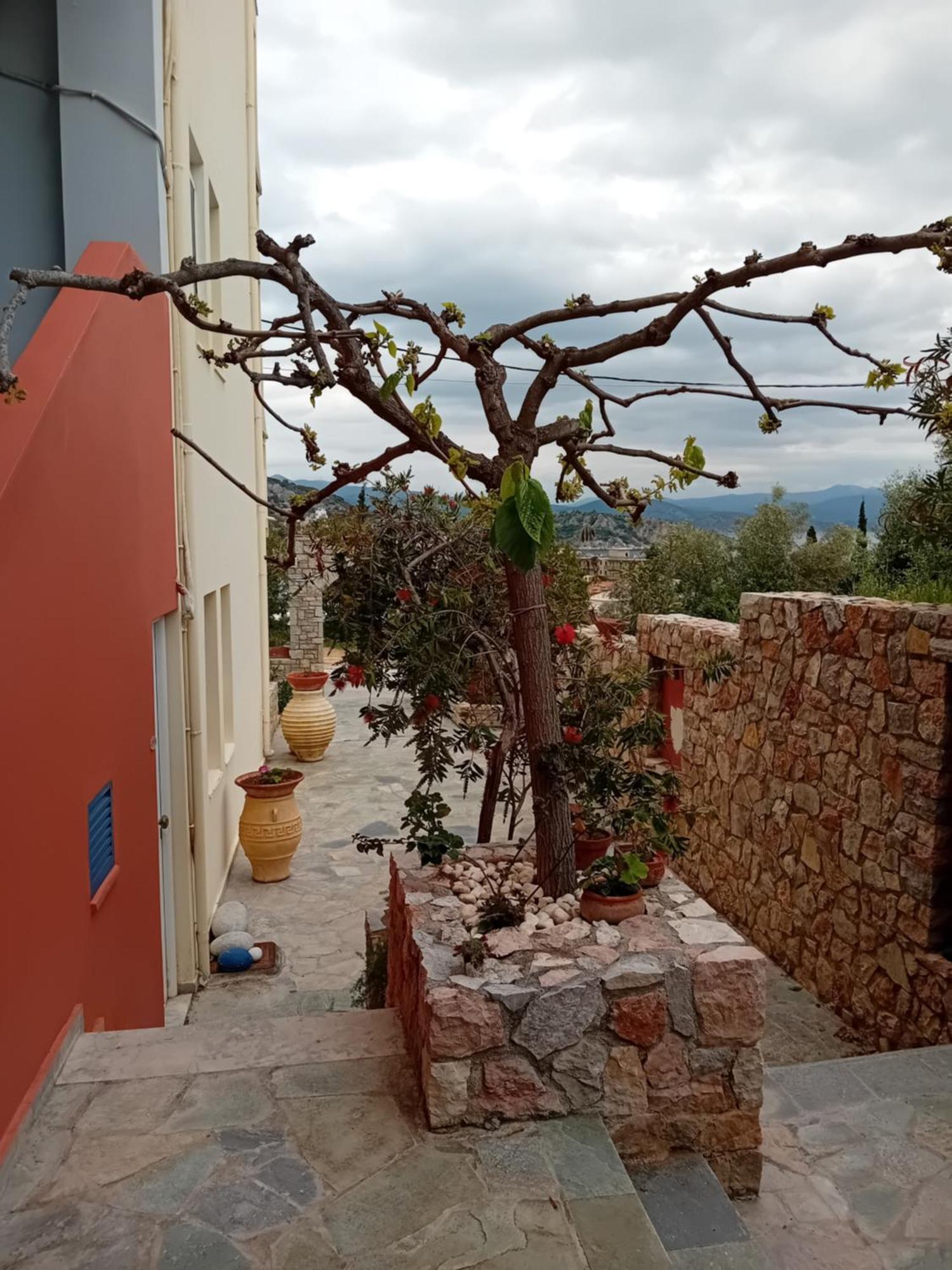 Heliotopos Apartments Tolón Exterior foto